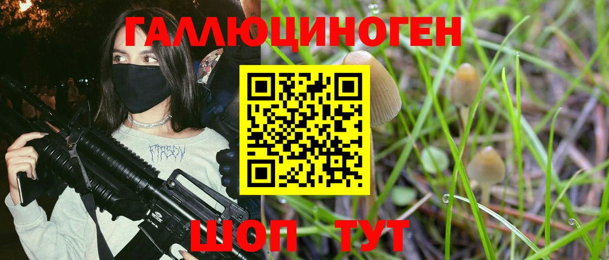 Чита  Галлюциногенные грибы Psilocybine cubensis  купить наркотики сайты  Вход с VPN 