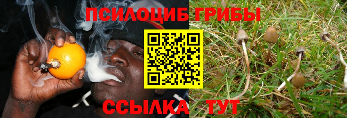 Псилоцибиновые грибы ЛСД Чита